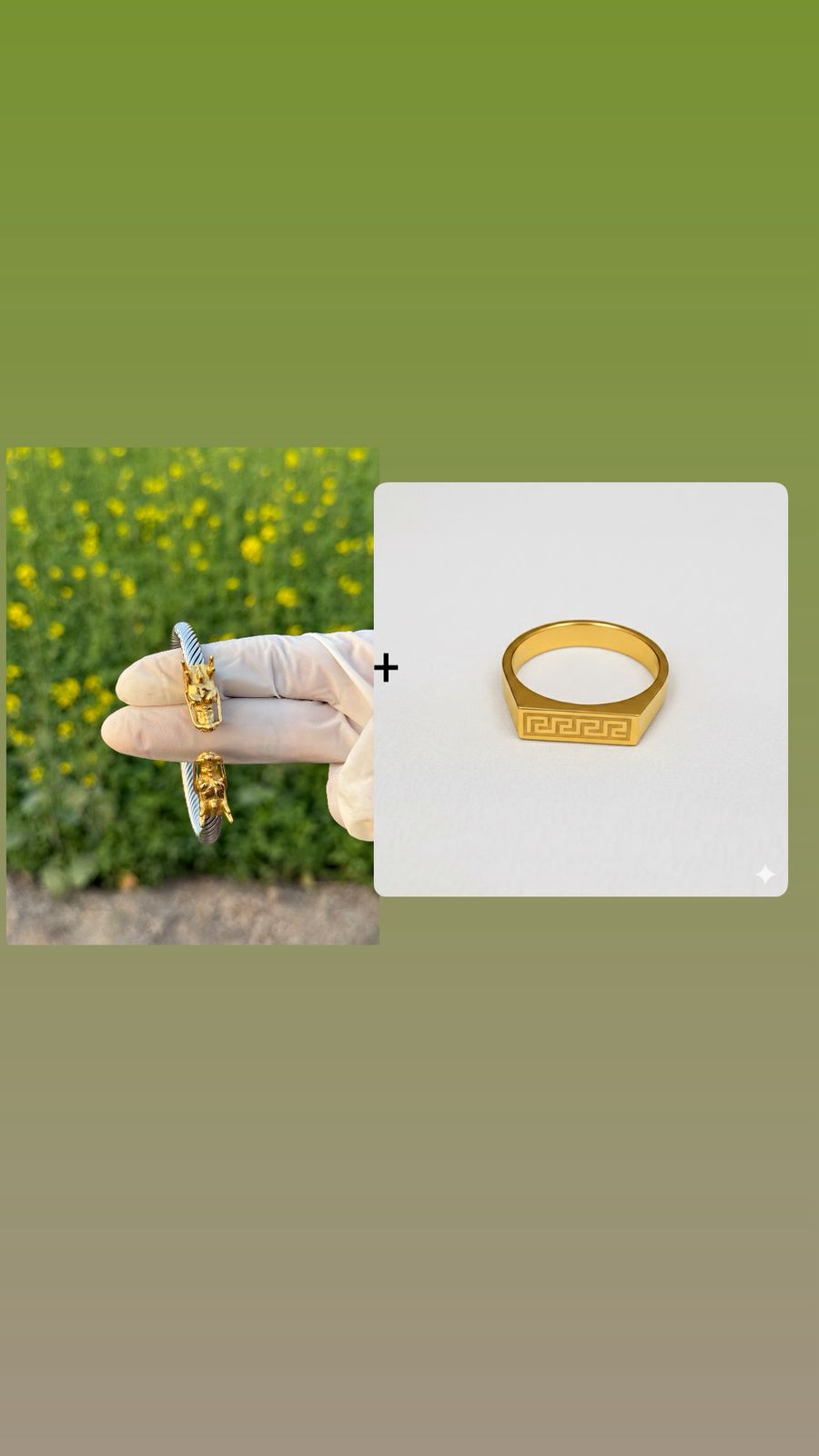 DRAGON S + RING